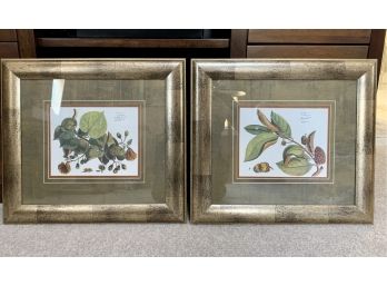 Pair Of Coordinating Custom Framed Botanical Prints, Paid $200