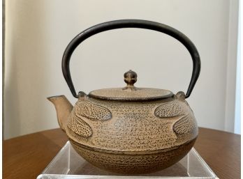 Japanese Iron Tea Pot With Dragonfly Design