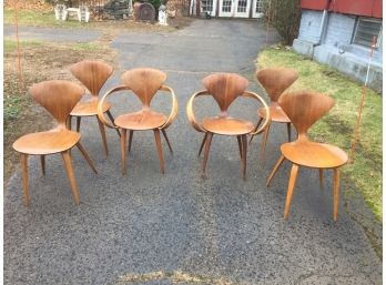 6 Plycraft Norman Cherner Dining  Chairs . Two Pretzel