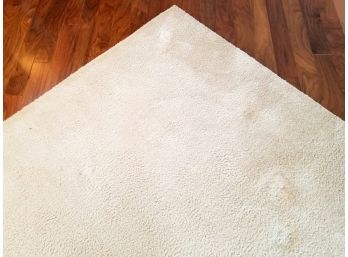 A Large Neutral Area Rug