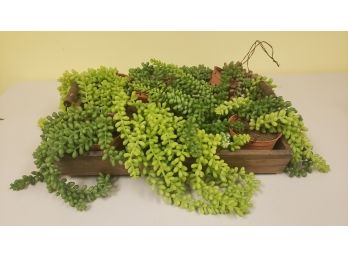 Artificially Succulent Burrows Tails Plant In Wooden Tray