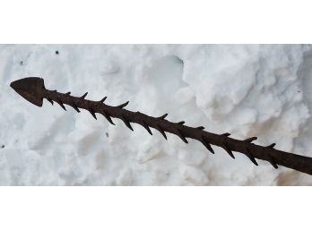 Antique Rare Form 40.5' Fishing Or Hunting Spear - With Numerous Metal Spikes And A Wood Shaft