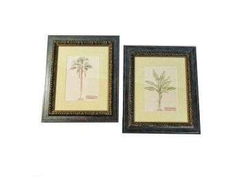 Framed Palm Tree Print Set Global Art 18x15