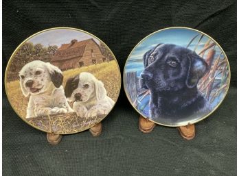 Two 8' Dog Plates
