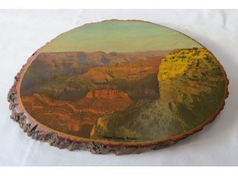 Vintage Live Slab Wall Art ~Grand Canyon, Arizona