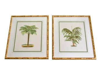 Pair Of Framed J. Pocker & Son Tropical Tree Prints