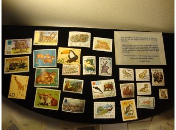 Wild Animals Stamps (25)