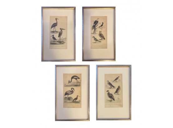 Antique 1821 Engraved Bird Prints, By Samuel Davenport,London- Set Of 4