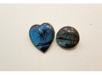 Vintage Moth Wing Scenic Pins Dh