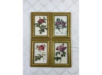 Four Small Gold Framed Floral Prints