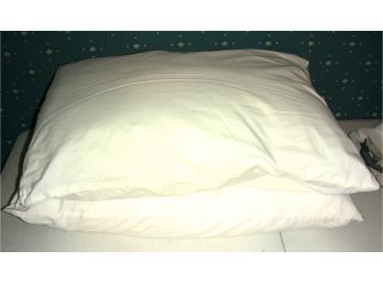 Lot Of 2 Bed Pillows (C)