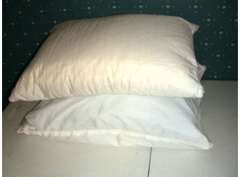 Lot Of 2 Bed Pillows (G)
