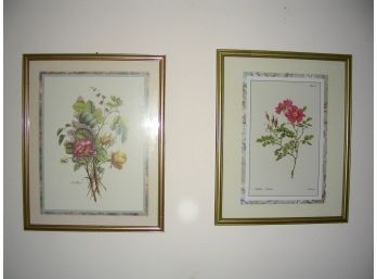 Lot Of Two Floral Prints: Roses And Rock Roses