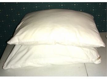 Lot Of 2 Bed Pillows (E)