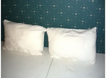 Pair Of 15 X 11' Decorative Pillows (K)