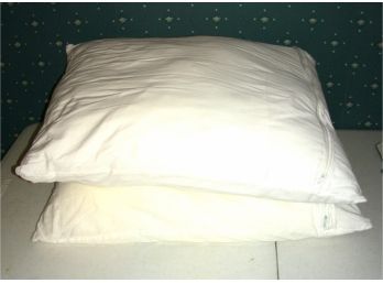 Lot Of 2 Bed Pillows (B)