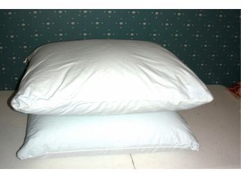 Pair Of Full/Queen Bed Pillows From PillowTex
