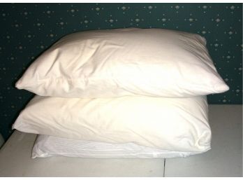 Lot Of 3 Bed Pillows (H)