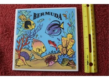 Bermuda Tile Trivet Hot Plate Colorful Fish
