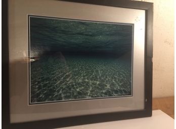 National Geographic Photo By Bill Curtsinger Under The Ocean Framed And Double Matted