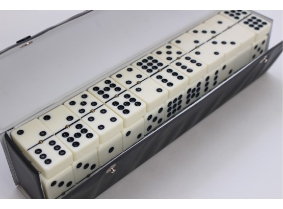Complete Domino Set In Case