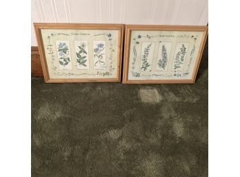 Set Of Herb Prints