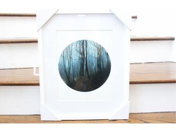 'Blackford Forest' By Photographer Laura Bell In UV(Glazed) Glass Frame