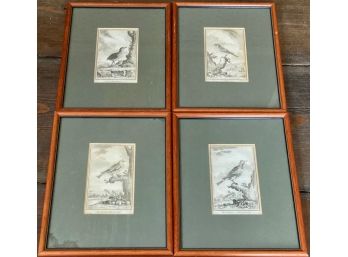Framed French Bird Book Plates (4)