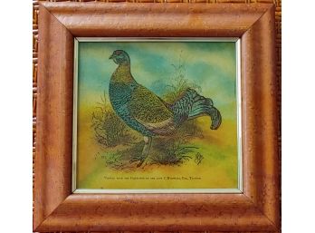 Colorful Game Bird Print In Tiger Maple Frame