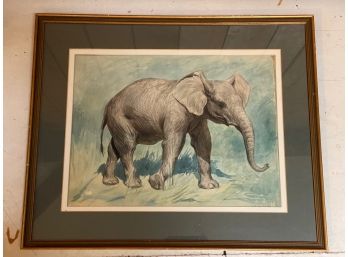 Watercolor, Elephant, Signed Evert Van Muyden