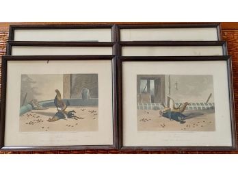 Framed English Cock Fighting Book Plates (6)