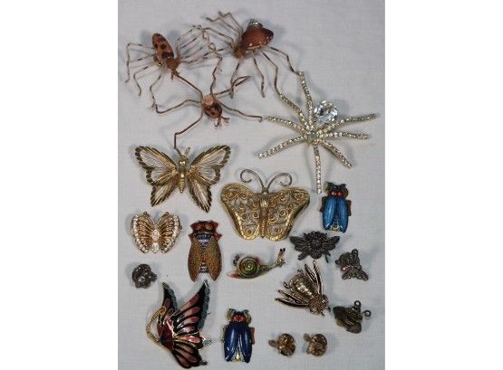 Brooches  Bugs And Insects