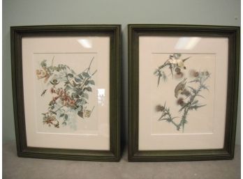 Pair Botanical  Bird Prints
