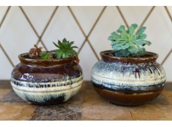Pair Of Glazed Ceramic Planter Pots - Succulent Plants Included