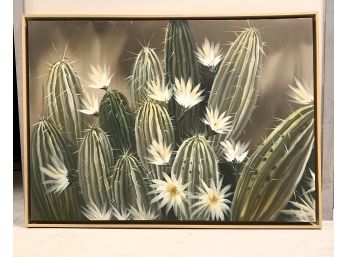 Robert Holman 'Cactuses'