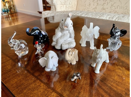 Collection Of Elephants From Around The World