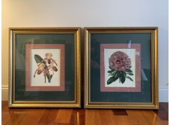 Pair Of Coordinating Floral Prints In Lovely Frames