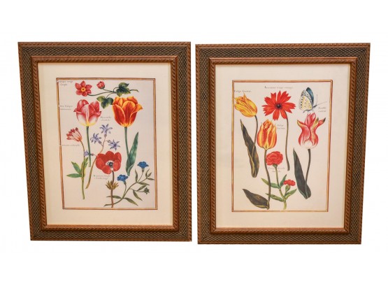 Pair Of Beautifully Framed Botanical Prints