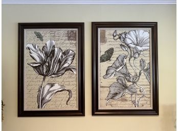 Framed Botanicals Pair