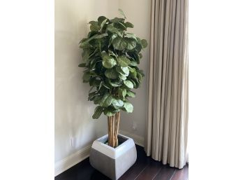 Gorgeous 6' Tall Faux Fiddle Leaf Fig Tree In Max Studio Ceramic Pot