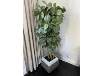 Tall Faux Fiddle Leaf Fig Tree In White Stone Max Studio Pot
