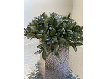Faux Succulent Plant