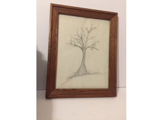 Amazing Graphite Tree On Paper In Beautiful Oak Frame