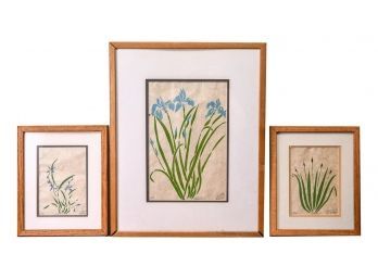 Signed Framed Nancy Klotzle, American Artist, 'Wild Orchid' , 'Blue Flag', 'cat Tails'