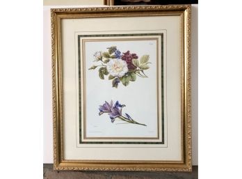 Floral Print Of Dahlia And Iris In A Gold Frame