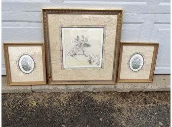 Set Of 3 Norma Hauck Signed Prints