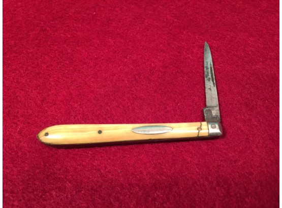 Antique Friedmann & Lauterjung's Celebrated Pen Knife. Bone Handle.