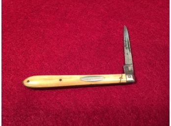 Antique Friedmann & Lauterjung's Celebrated Pen Knife. Bone Handle.