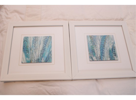 Pair Of Peacock Feather Glass Framed Prints