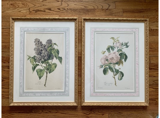 Custom Framed & Matted Botanical Antique Book Plates
